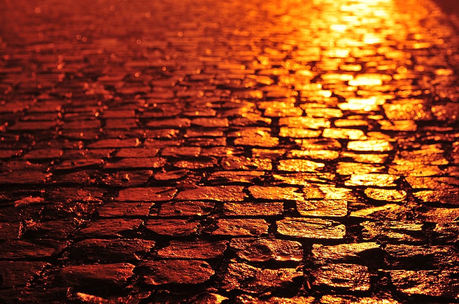Path, Night, Color, backgrounds, textured, gold colored, full frame HD wallpaper