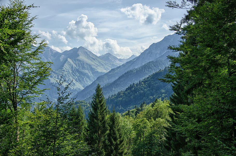 allgäu, oberstdorf, mountains, forest, trees, bavaria, summer HD wallpaper