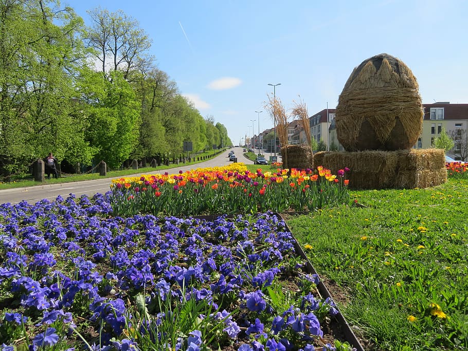 Easter Egg, ludwigsburg germany, flowers, spring, agriculture, HD wallpaper