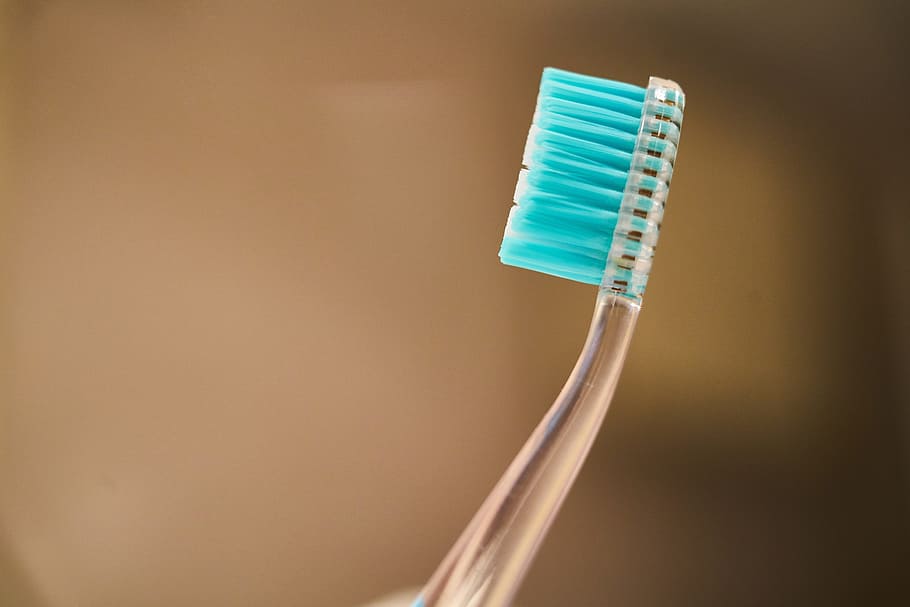 blue toothbrush selective focus photography, clay, macro, little HD wallpaper