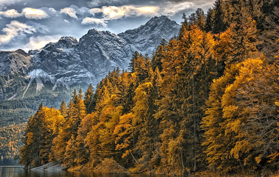 alps, brine, eibsee, mountain, tree, beauty in nature, autumn HD wallpaper