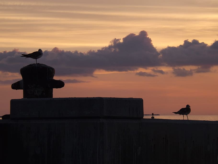 silhouette, sunset, backlit, dawn, widescreen, key west, sky HD wallpaper