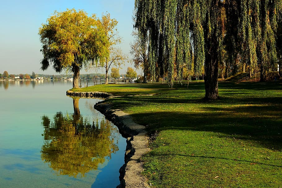 tree, nature, waters, landscape, grass, lake, mirroring, autumn HD wallpaper