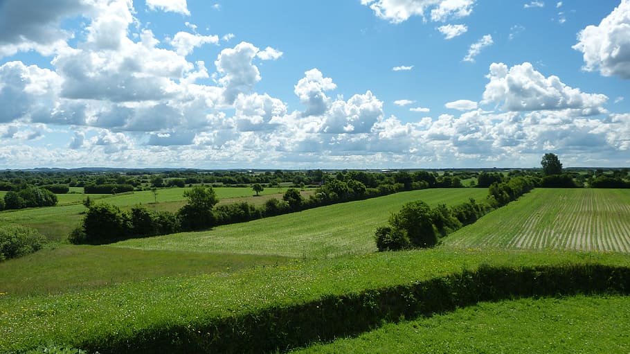 Landscape, Nature, Clouds, Freedom, sky, wide, summer, trees HD wallpaper