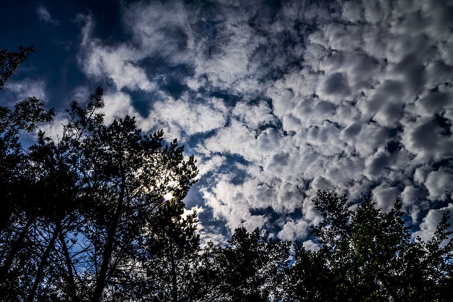 clouds, sky, nature, mood, atmosphere, low angle view, tree HD wallpaper