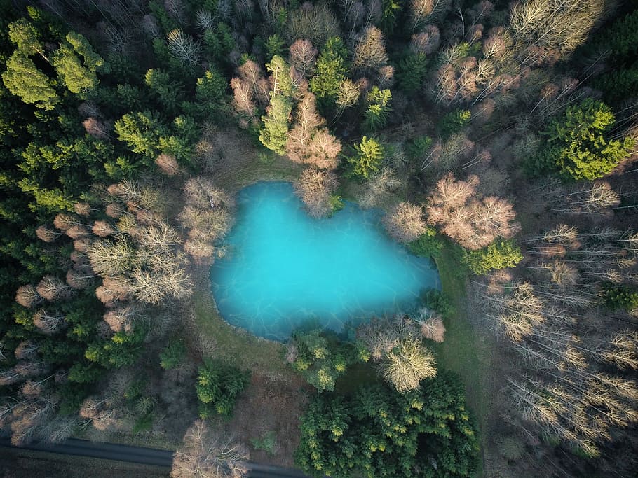bird's eye photography of lake in middle of forest, untitled HD wallpaper