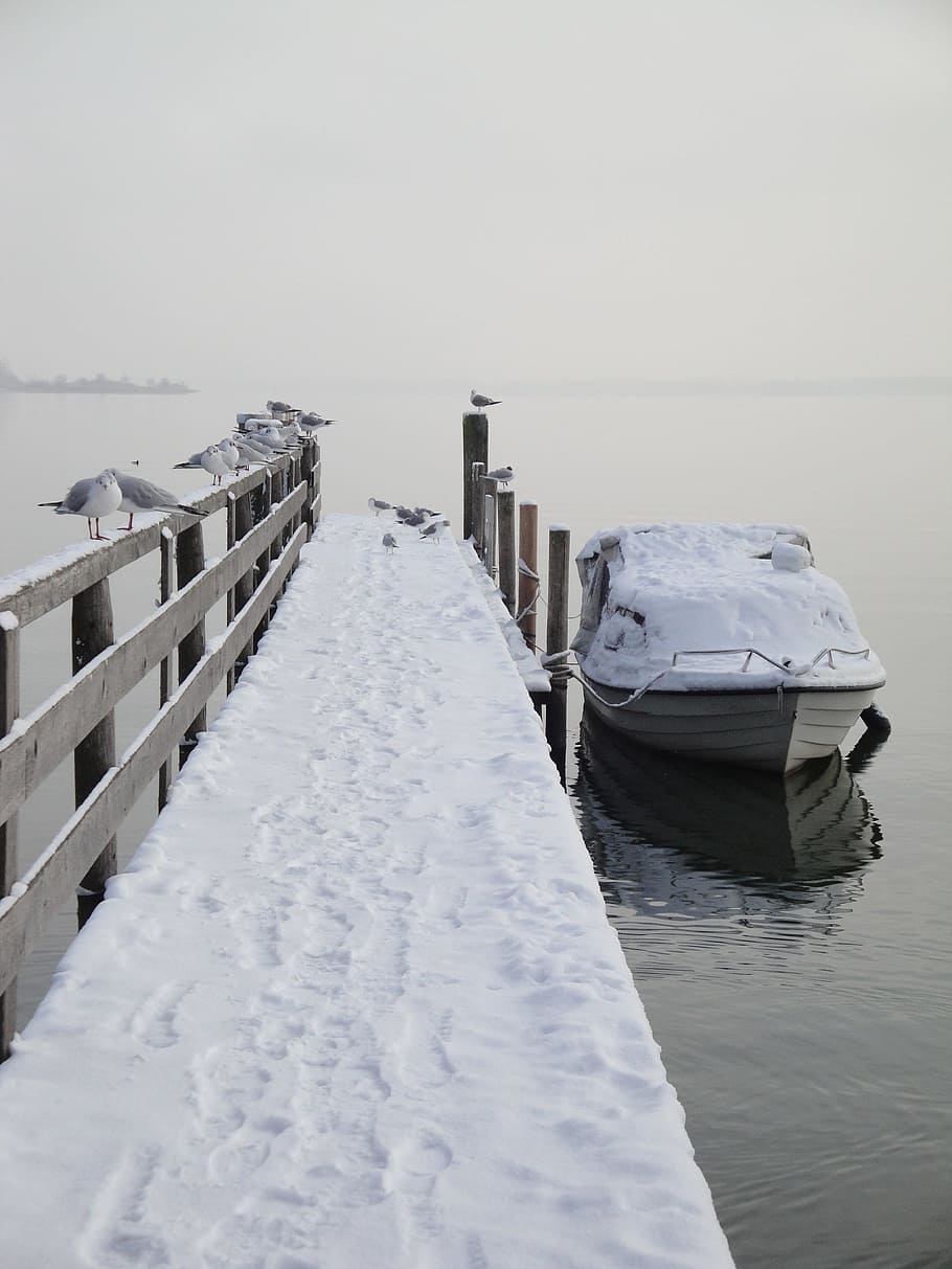 Web, Winter, Snow, Lake, Cold, Boardwalk, snowy, chiemsee, wintry HD wallpaper