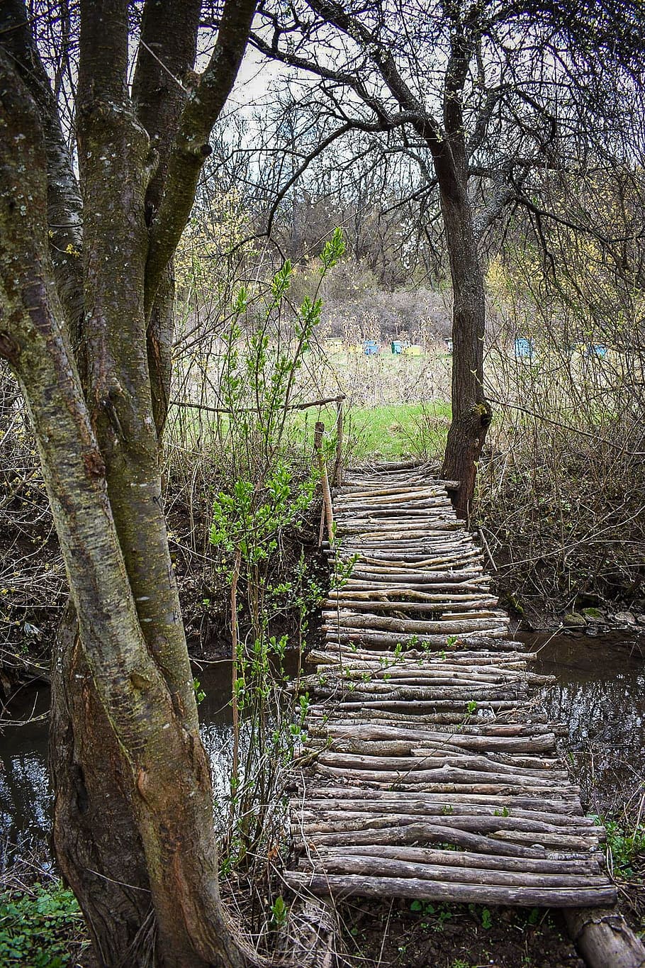 Path, Bridge, Park, Park, Wood, nature, tree, forest, footpath HD wallpaper