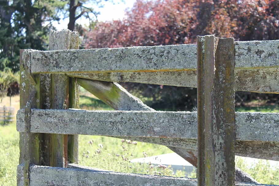 close, gate, wooden, old, countryside, day, no people, wood - material HD wallpaper