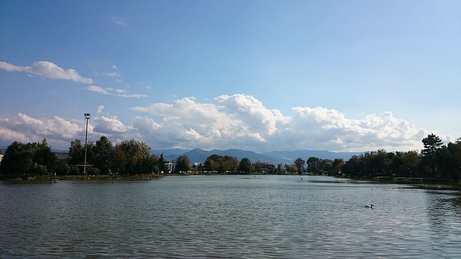 lakeside, park, blue sky, clouds, water, tree, cloud - sky HD wallpaper
