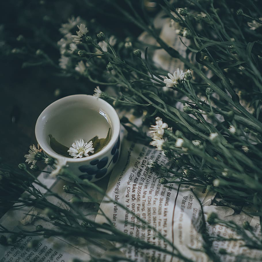 White Ceramic Mug Beside White Petal Flower, blur, close-up, colors HD wallpaper