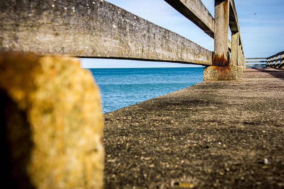 nature, sky, waters, web, no people, day, sea, selective focus HD wallpaper