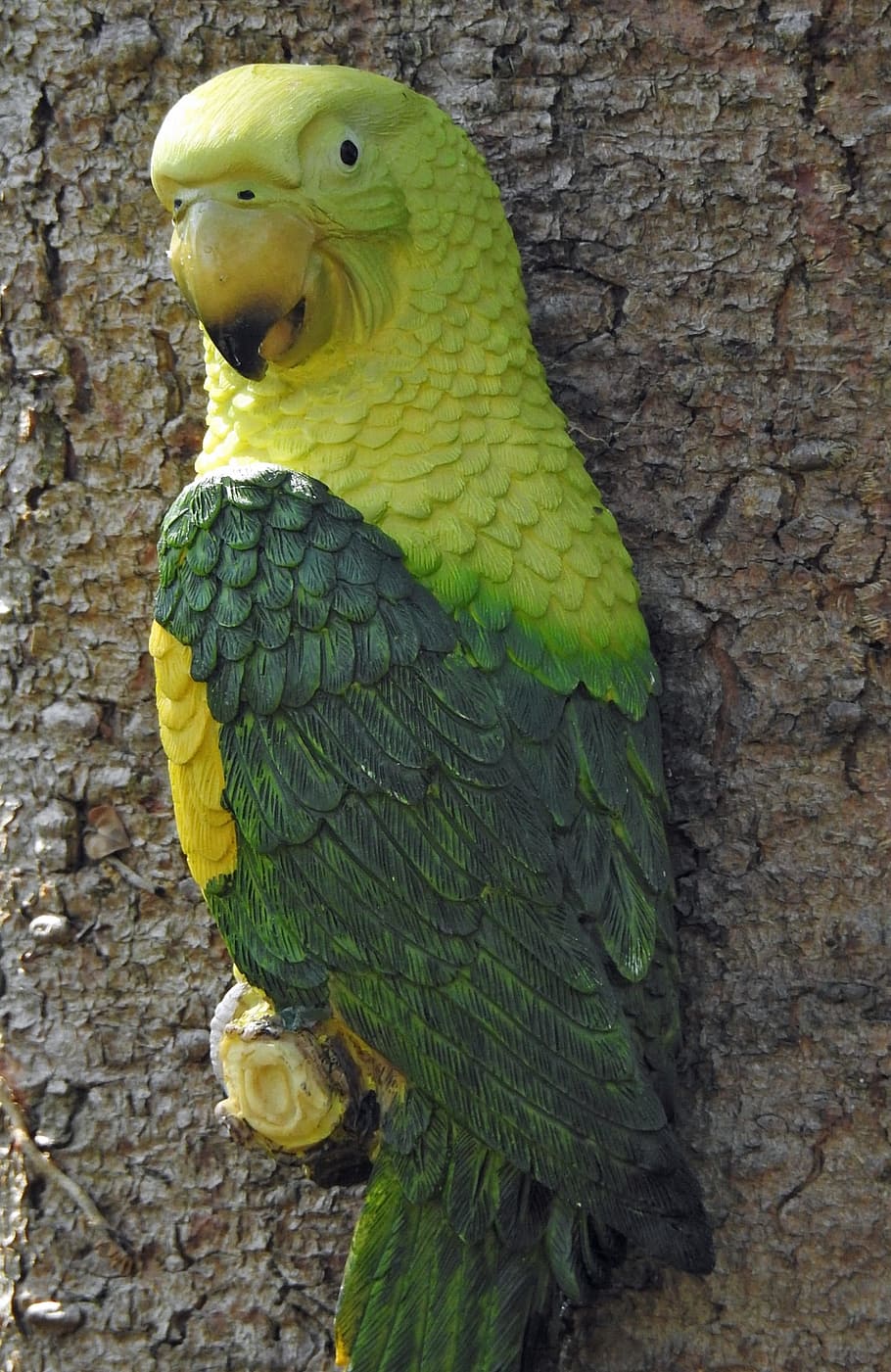 parrot, tree, birds, exotic, green, yellow, grey, animal, animal themes HD wallpaper