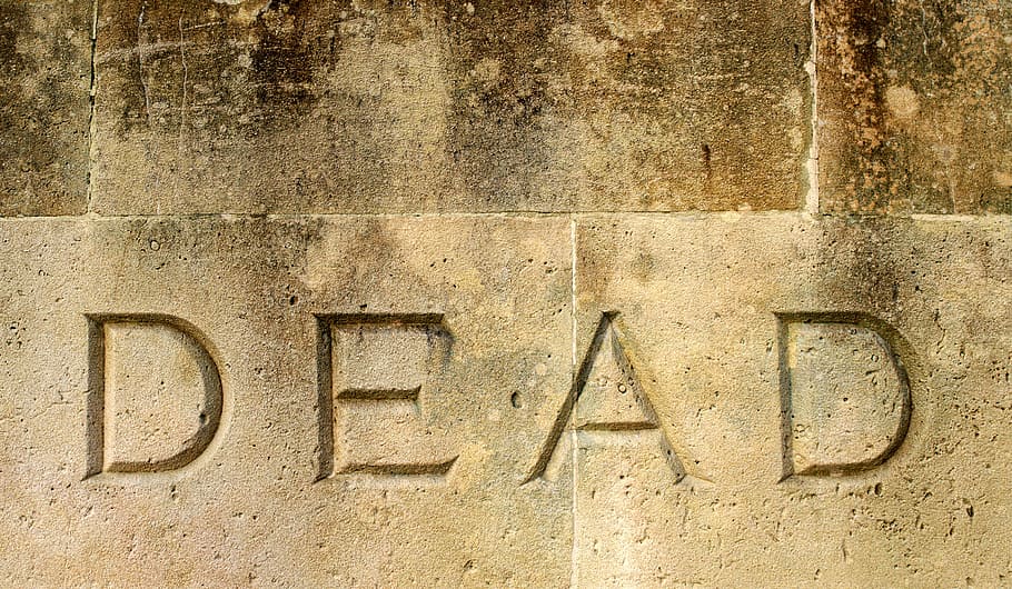 photo of brown concrete bricks, dead, death, final, end, ending HD wallpaper