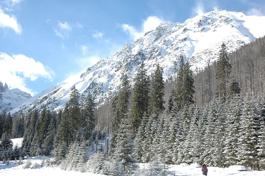 tatry, winter, mountains, snow, cold temperature, beauty in nature HD wallpaper