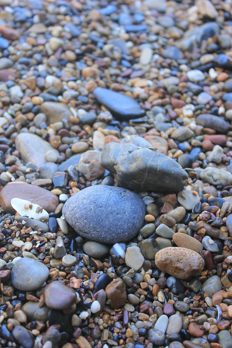 beach, cobblestone, the sea, colorful, natural, constitute HD wallpaper