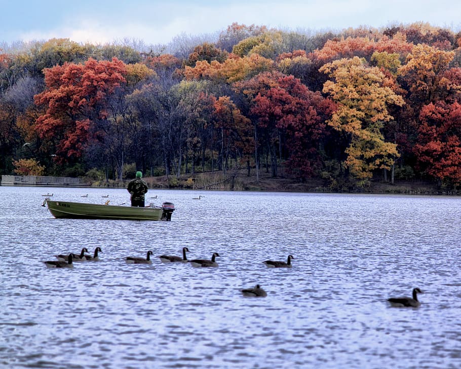 Boat, Fish, Ducks, Fishing, autumn, water, fisherman, nature HD wallpaper