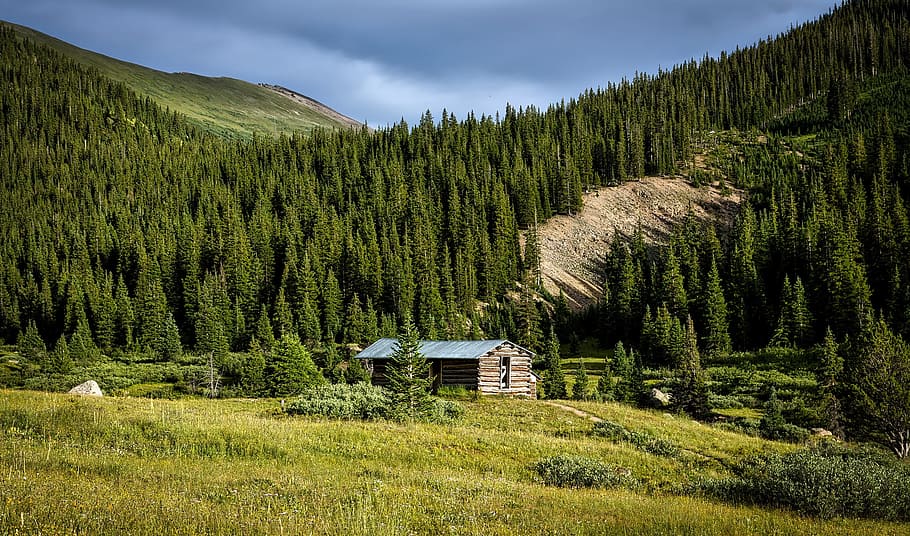 brown wooden house near trees under blue sky, colorado, landscape HD wallpaper