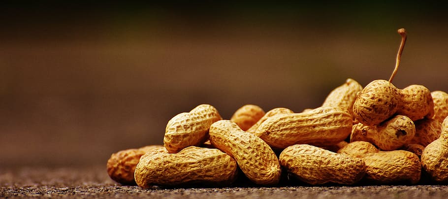 closeup photo of peanuts on brown surface, shell, food, delicious HD wallpaper