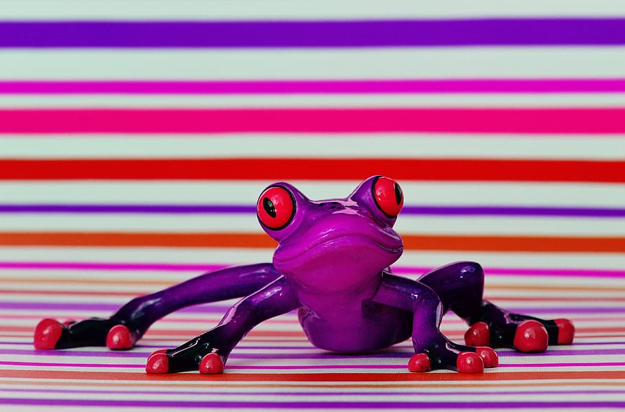 frog, funny, figure, cute, animal, sweet, frog eyes, lurking HD wallpaper