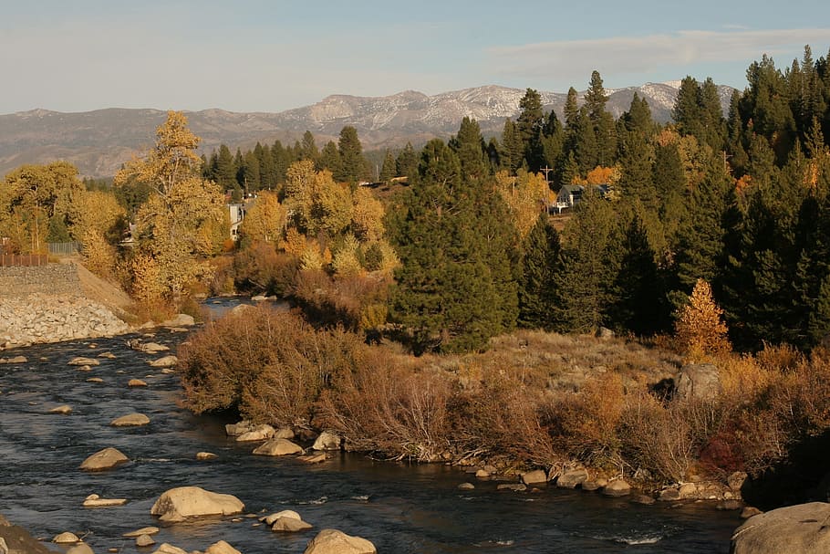 Autumn, Trees, Mountain, River, flowing river, pine trees, landscape HD wallpaper
