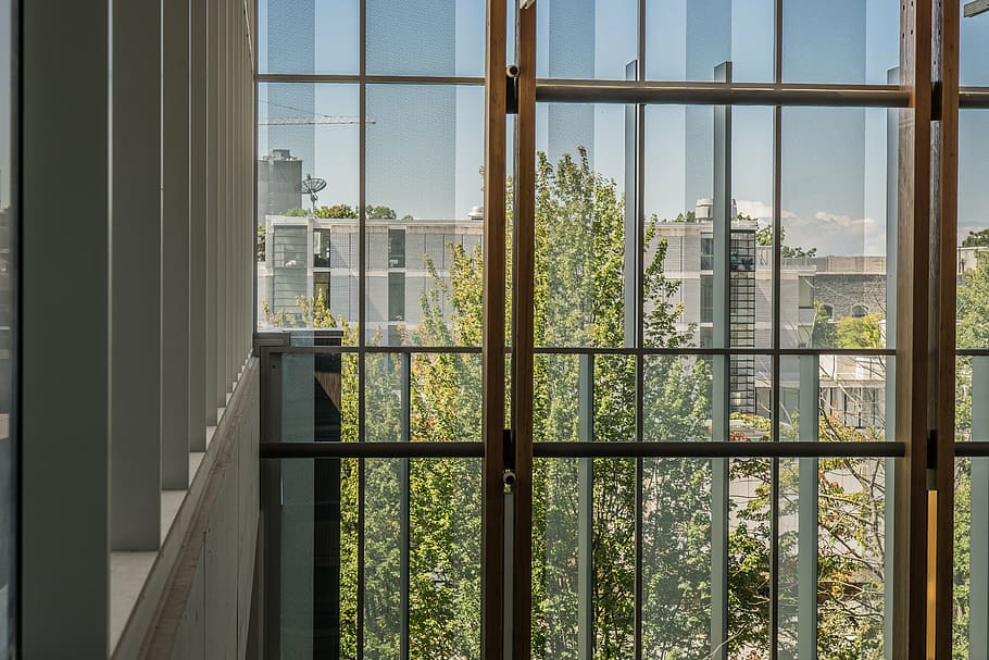 structure, architecture, glass, wood, university, window, indoors HD wallpaper