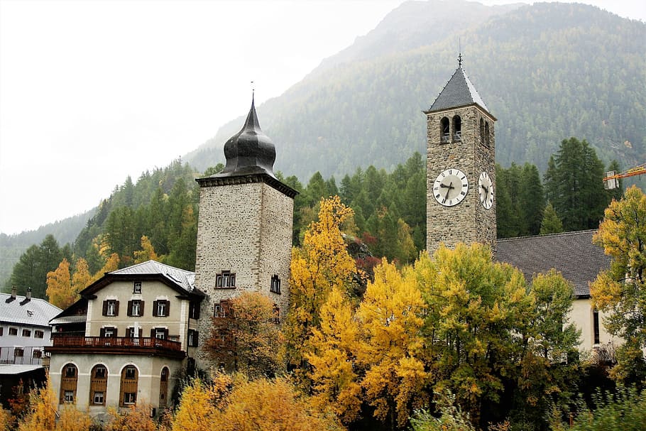 gray concrete building beside trees, town, antique, clock, tower HD wallpaper
