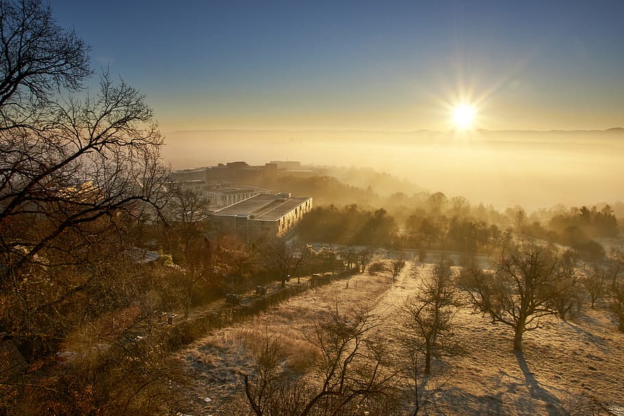 cold, winter, wintry, snow, winter cold, landscape, frost, nature HD wallpaper