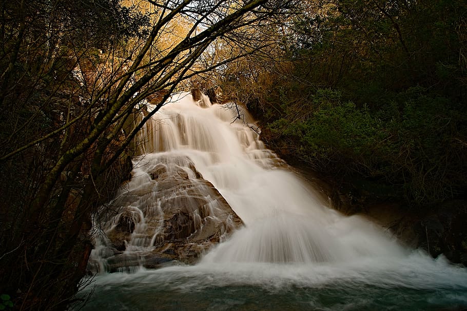 raging waterfalls surrounded by trees, river, forest, silk effect HD wallpaper