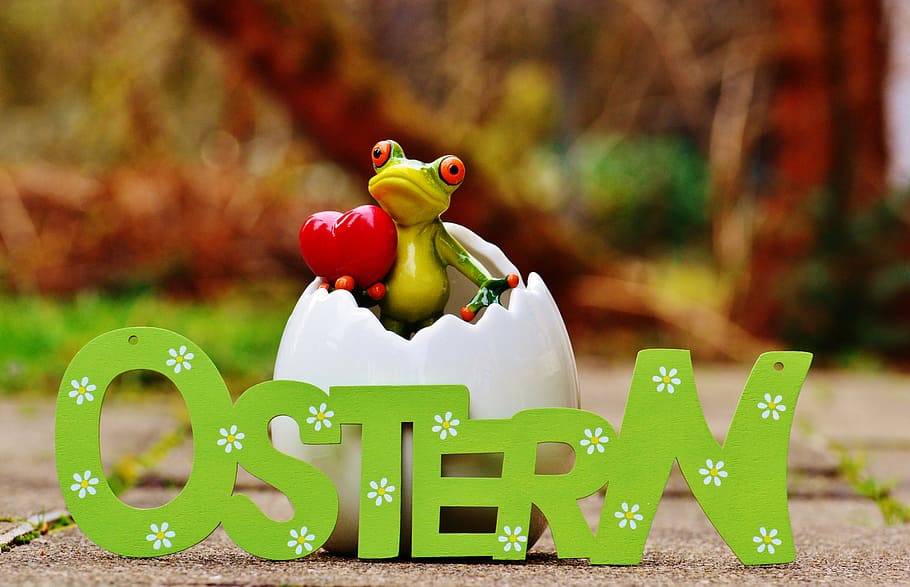 easter, eggshell, frog, happy easter, color, cute, funny, spring HD wallpaper