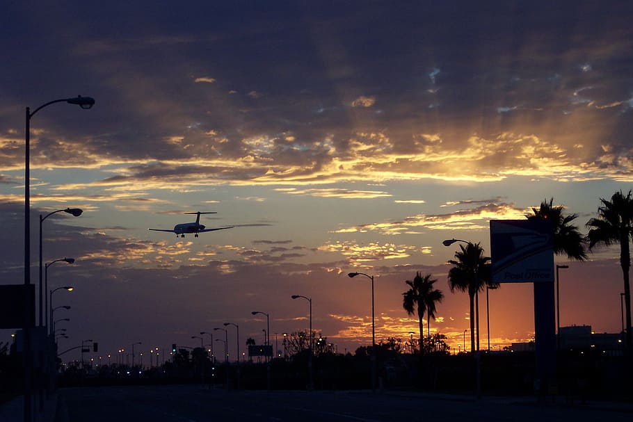 photo of airplane and trees, aircraft, sunset, los angeles, lax