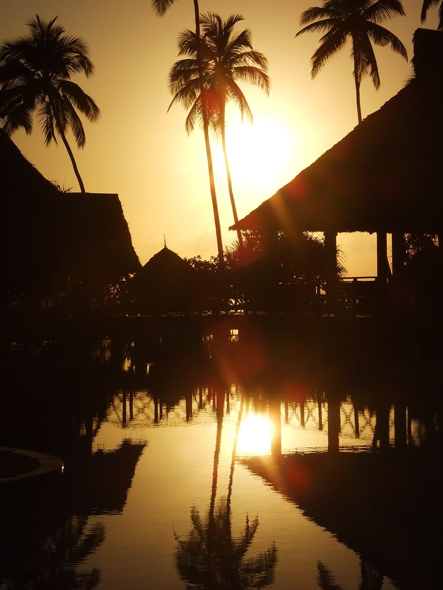 zanzibar, sunrise, holiday, island, water, reflection, sky, HD wallpaper