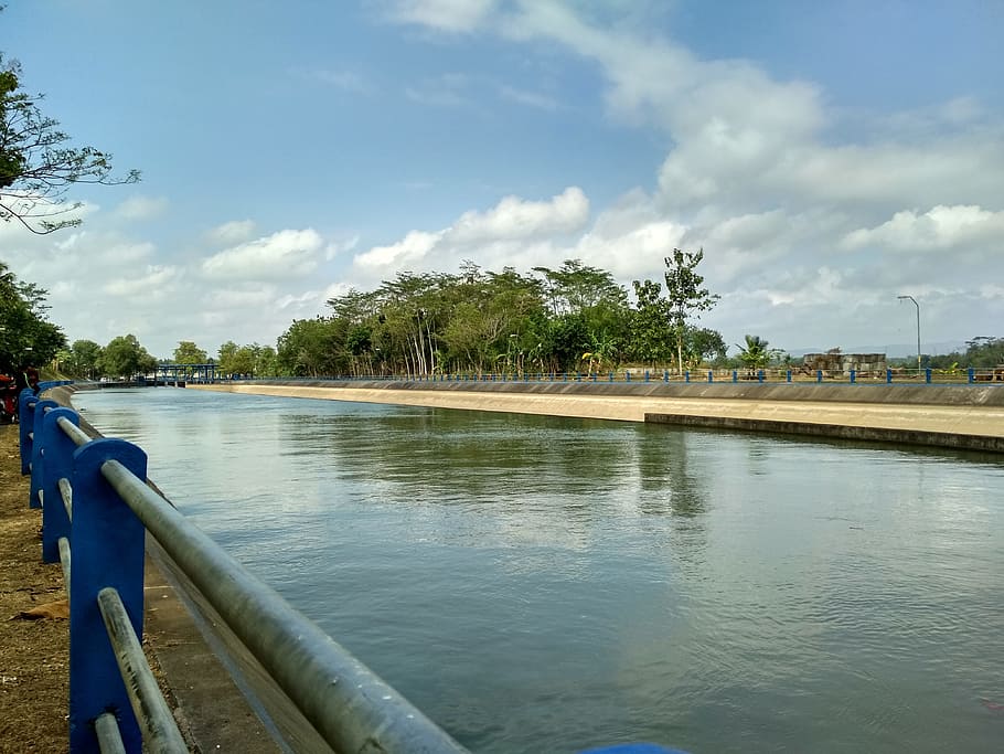 river, blue, green, water, sky, cloud - sky, tree, nature, plant HD wallpaper