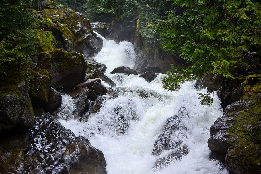 Waterfall, Rapids, River, Water, Forest, stone, flow, nature HD wallpaper