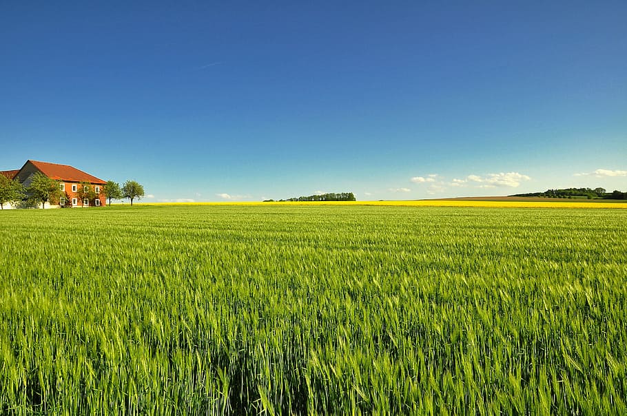 field, agriculture, farm, landscape, panorama, nature, green landscape, HD wallpaper