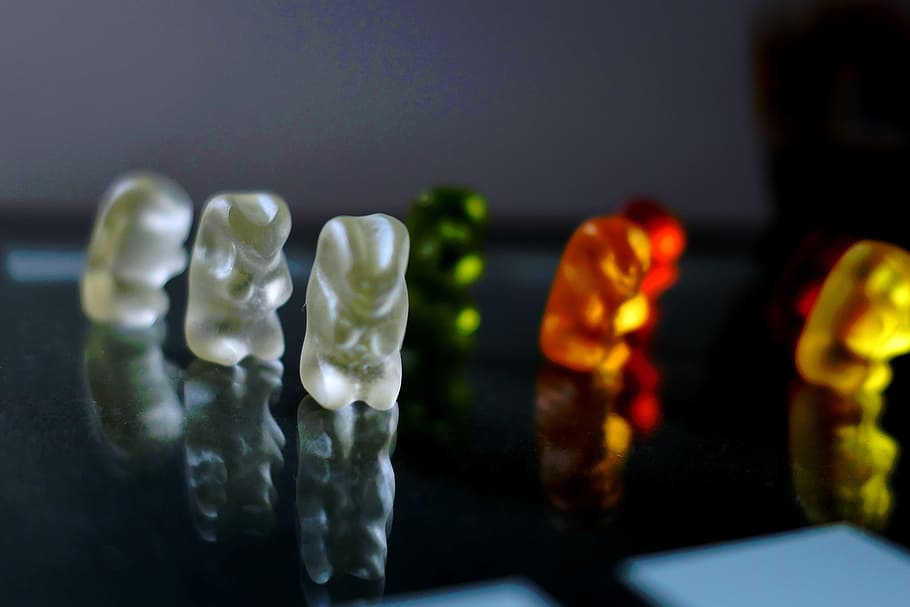 bears, colorful, eat, something, fruit jelly, yellow, green HD wallpaper