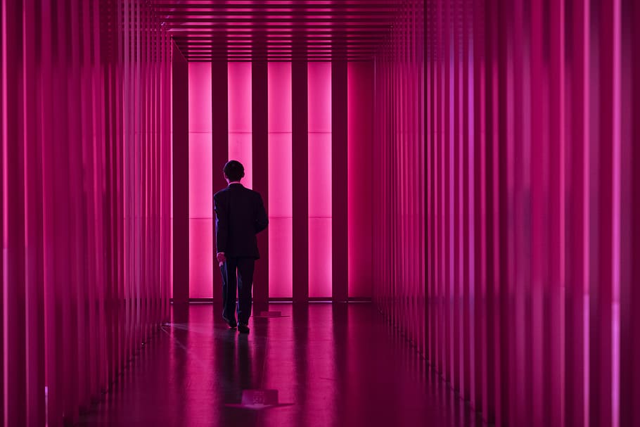 man in suit walking on corridor, man walking to the pink hallway HD wallpaper