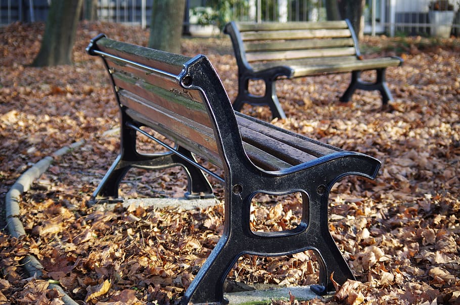 bench, park, autumn, seat, park bench, no people, nature, plant part HD wallpaper