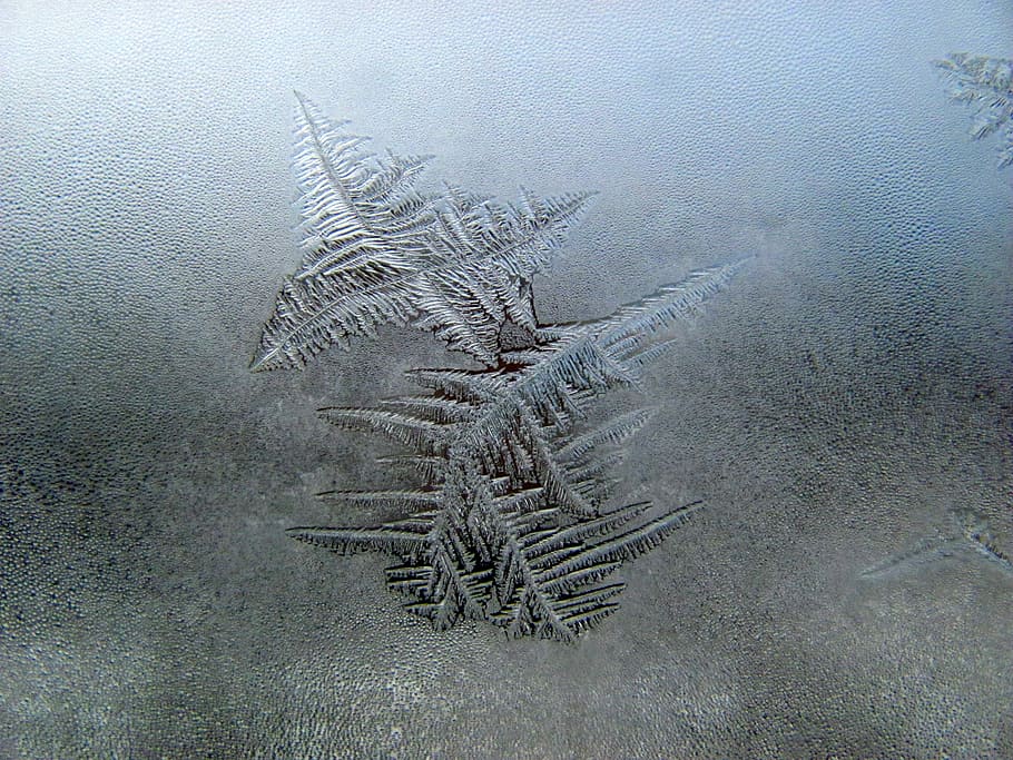Snow, Winter, Window, Ice, Season, snowflake, frost, cold temperature HD wallpaper