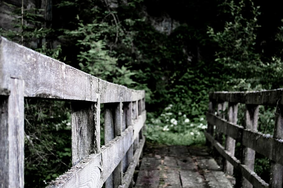 Bridge at st. Jakob, gray wooden bridge near green leafed tree, HD wallpaper