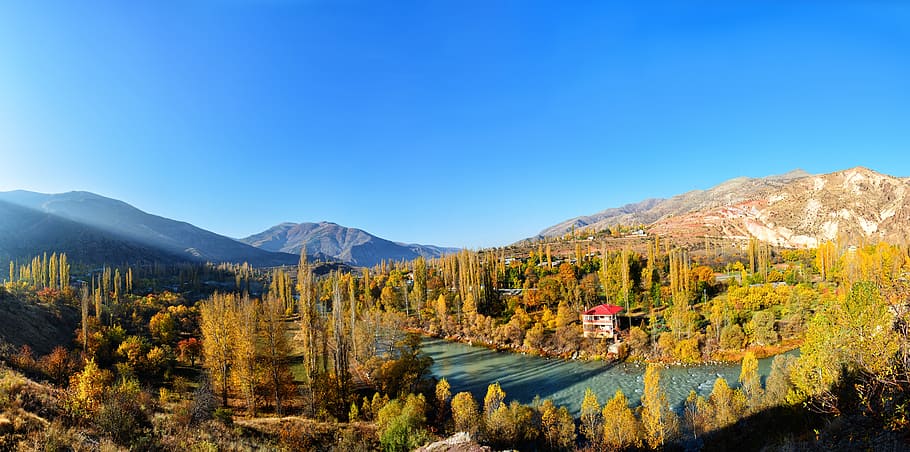 high angle photography of body of water surrounded with trees HD wallpaper
