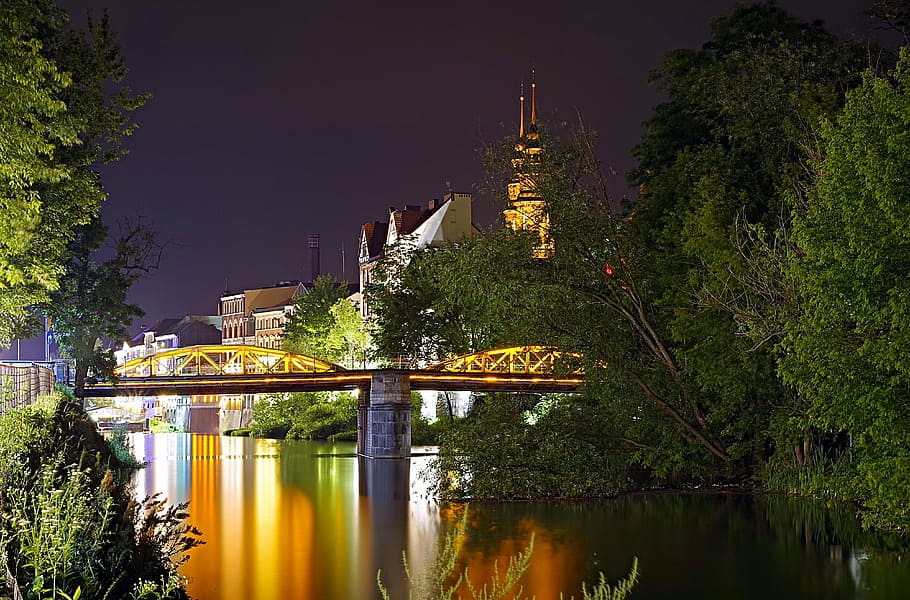 bridge, night, river, water, opole, poland, tree, scrubs, the cathedral HD wallpaper