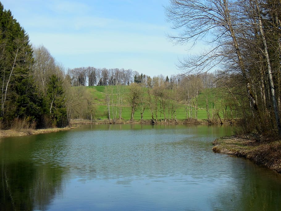waldsee, spring, upper bavaria, achental, mirroring, sky, blue HD wallpaper