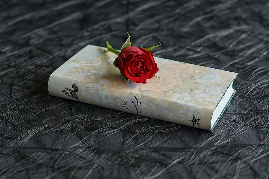 brown hardbind book with red rose on top, persian poems, hafez, HD wallpaper