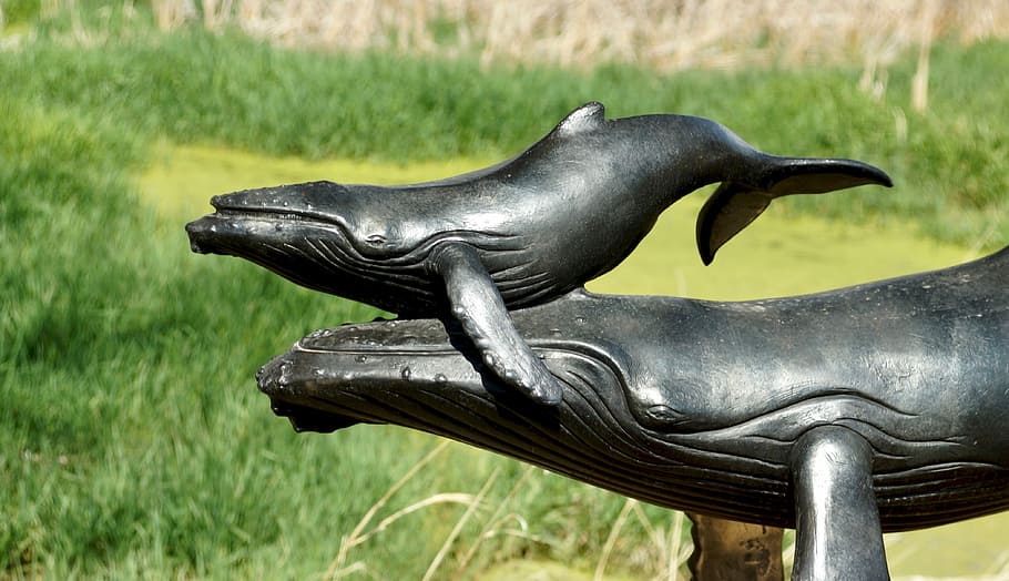 whale, statue, bronze, sculpture, humpback, grass, nature, wildlife HD wallpaper