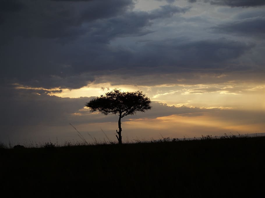 Sunset, Heaven, Cloud, nature, landscape, beauty in nature HD wallpaper