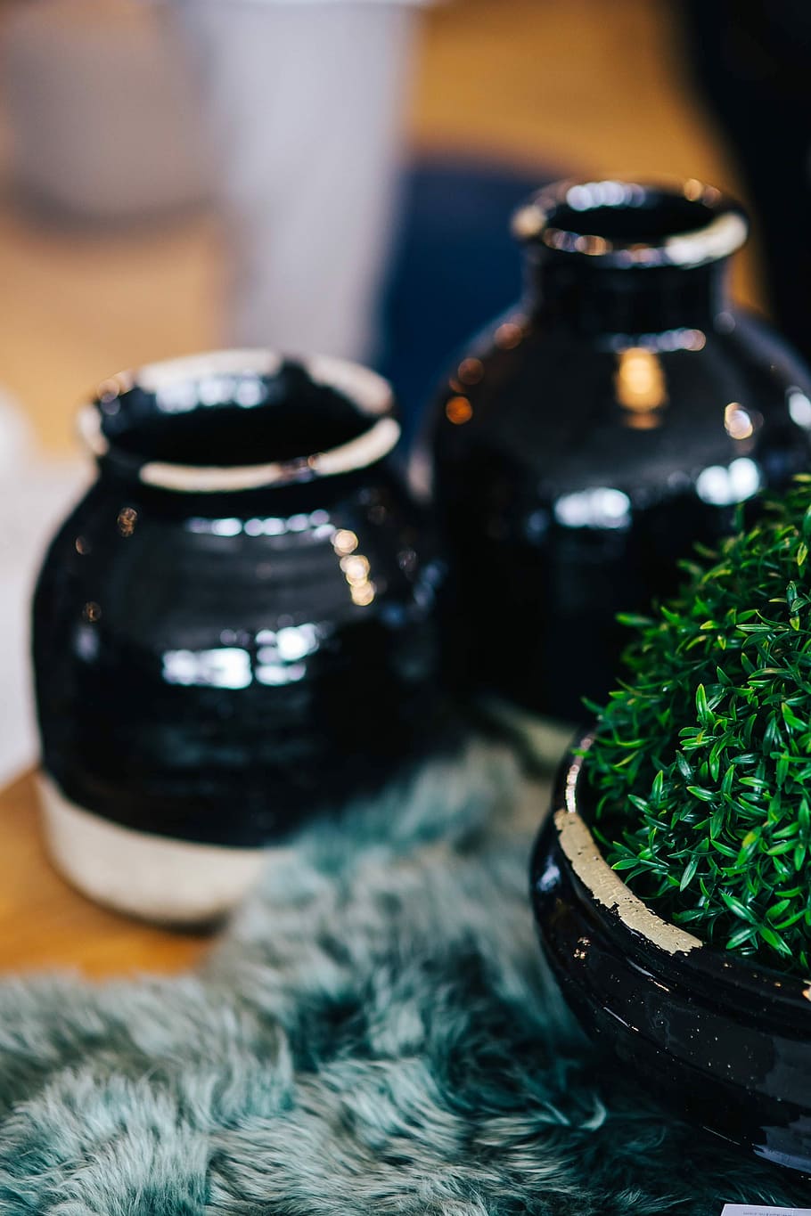 Green plant with black pots and a soft cyan rug, table, jar, ceramic