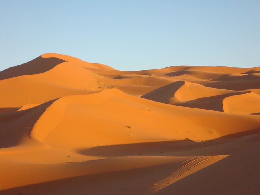 desert, dune, sand, sahara, arid, wilderness, morocco, sand Dune HD wallpaper