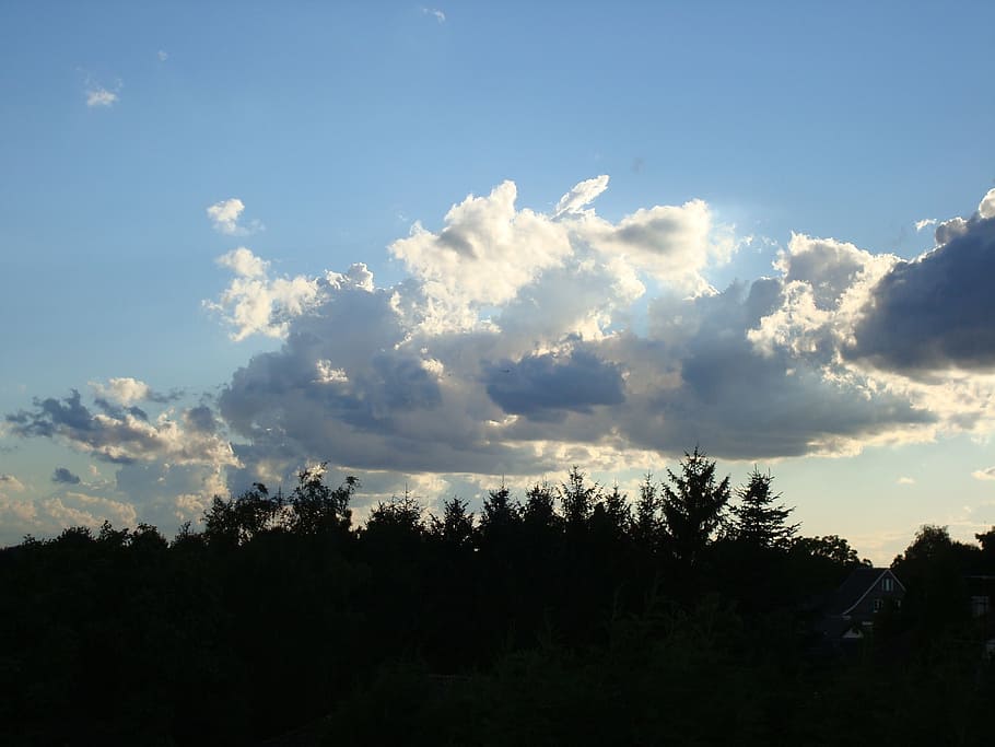 clouds, sky, mood, blue, covered sky, sun, tree, plant, beauty in nature HD wallpaper
