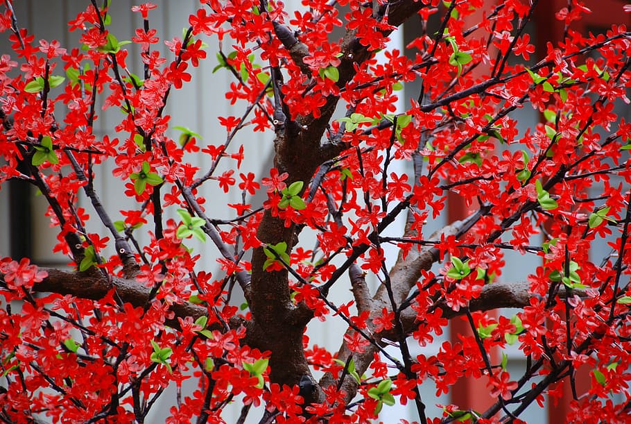 tree, branches, flowers, red, artificial, nature, decoration HD wallpaper